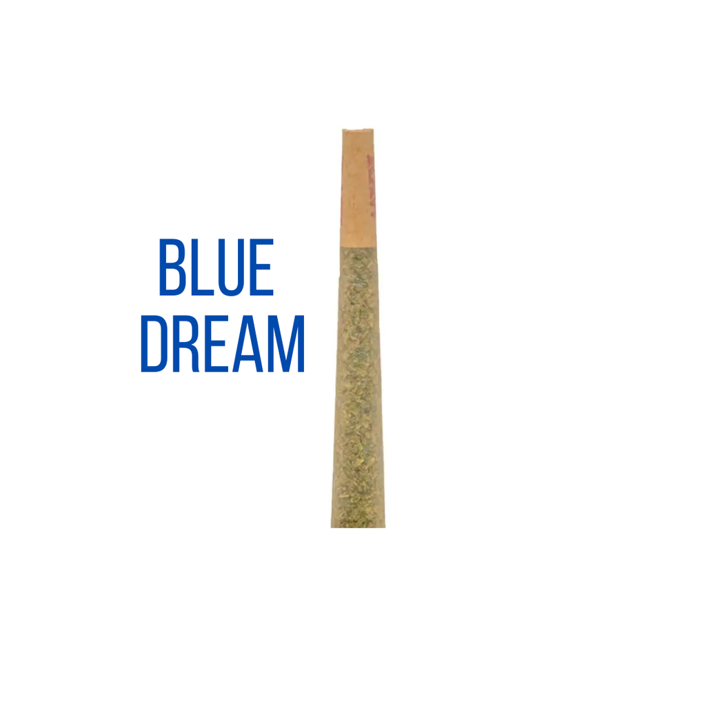 Preroll - Blue Dream (1gram)