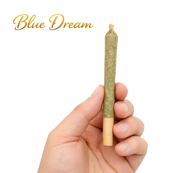 Blue Dream 1g Preroll